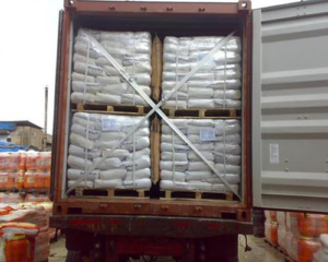 Export Container Lashing